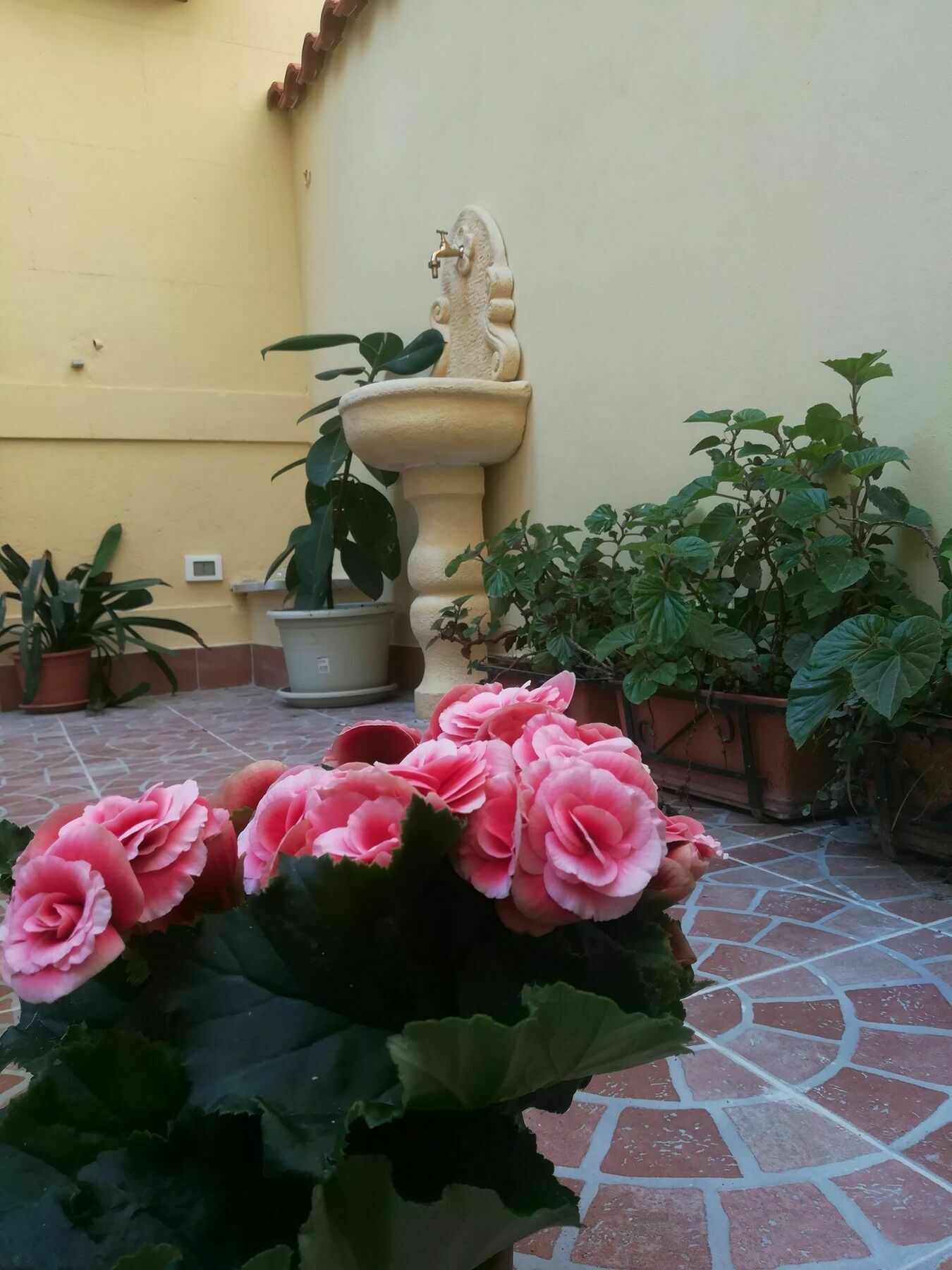 ホテル Le Rose Del Viale パレルモ エクステリア 写真